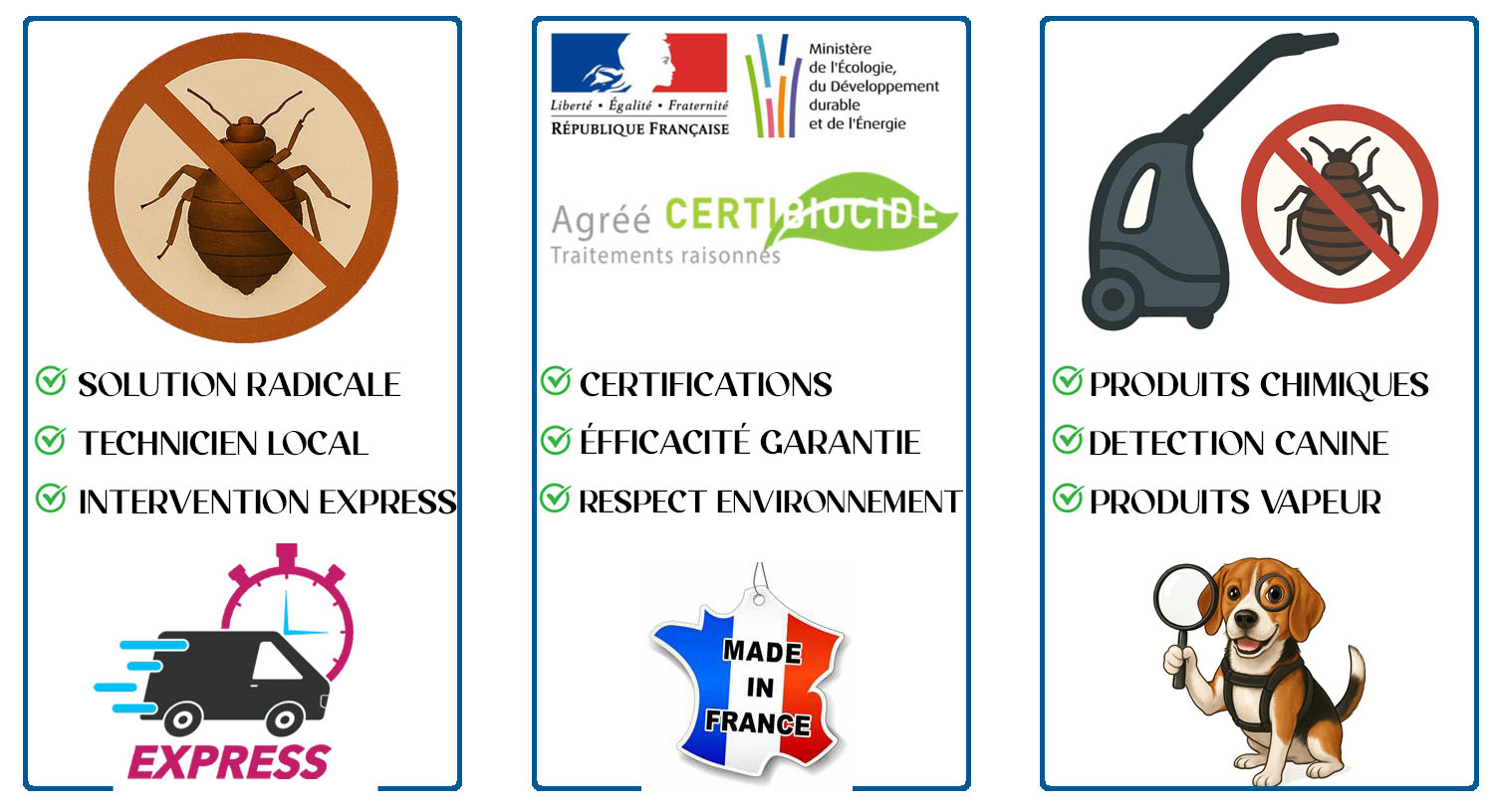 Punaises de Lit Charenton le Pont